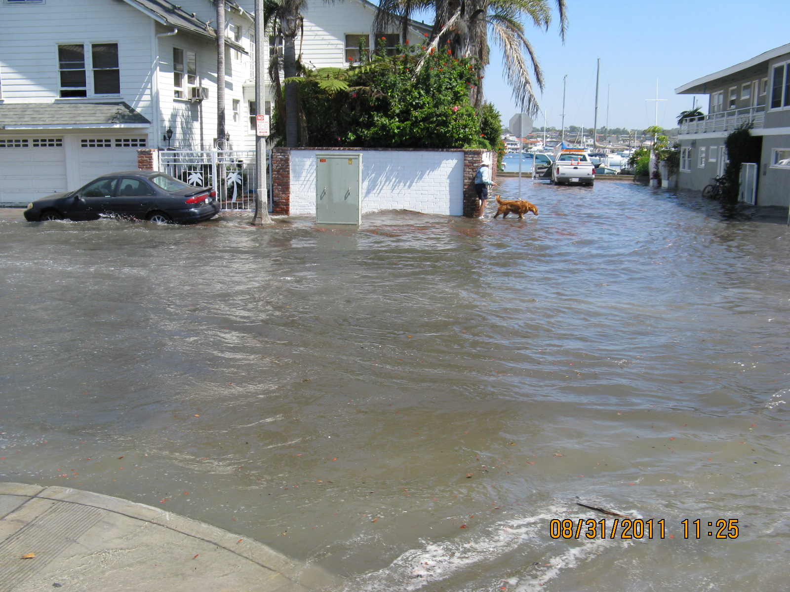 Floodrise Balboa Island 003